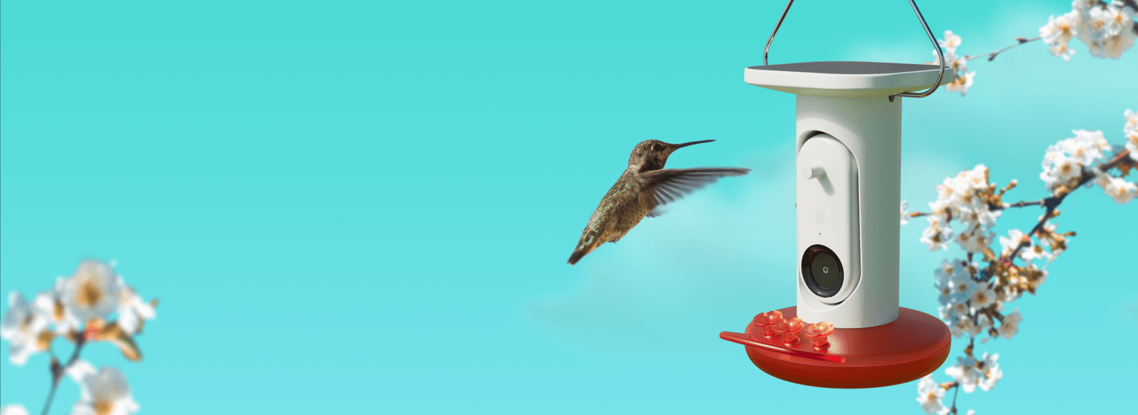 Smart Hummingbird Feeder: Production and fulfillment update