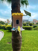 Smart Solar Bird Feeder with Camera - AI Bird Recognition, 1080P HD Camera, 4MP Photos, Night Vision, 2L Food Capacity, Solar-Powered, 5000mAh Battery, IP65 Waterproof