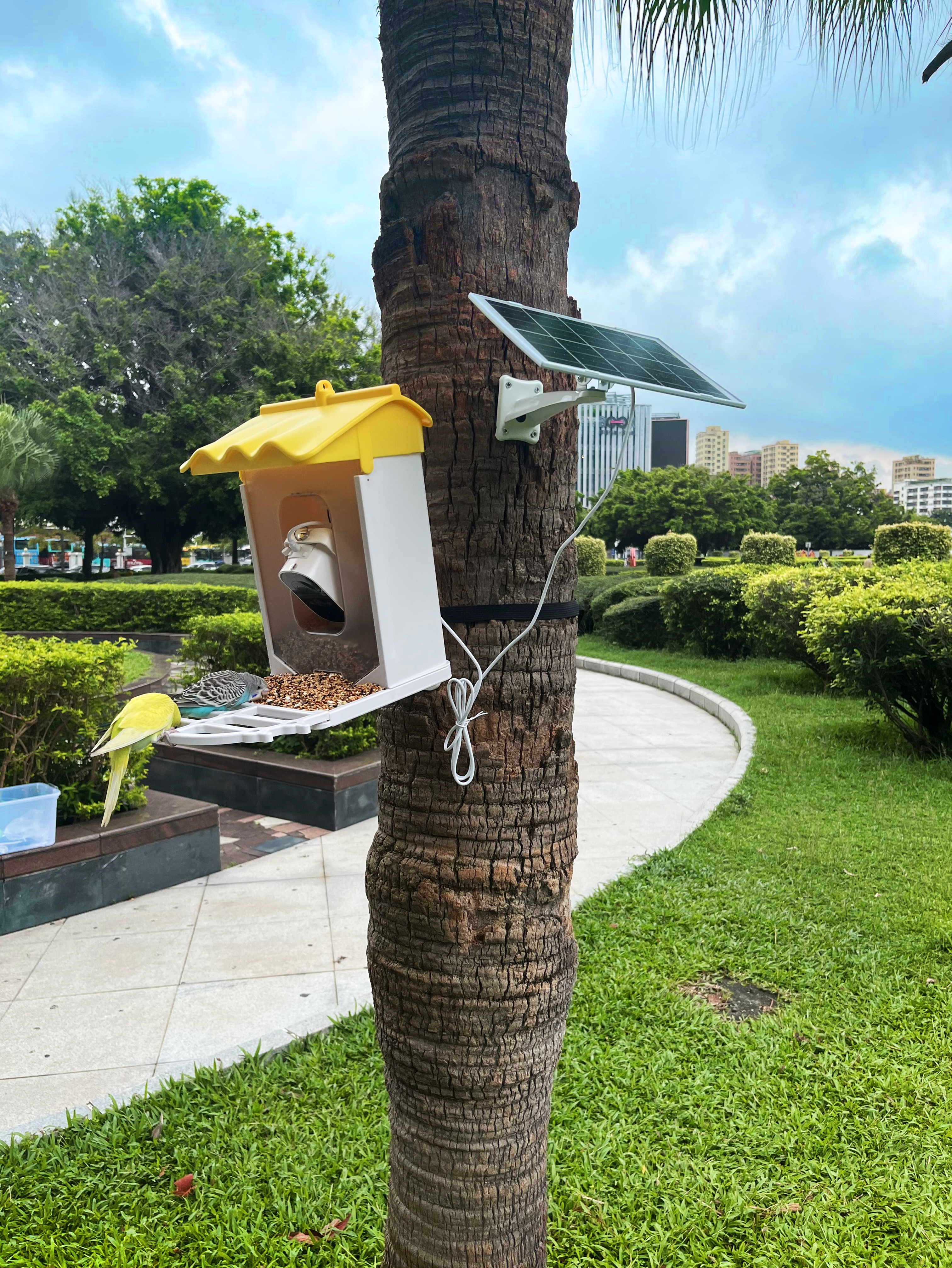 Smart Solar Bird Feeder with Camera - AI Bird Recognition, 1080P HD Camera, 4MP Photos, Night Vision, 2L Food Capacity, Solar-Powered, 5000mAh Battery, IP65 Waterproof